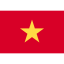 Vietnam Flag