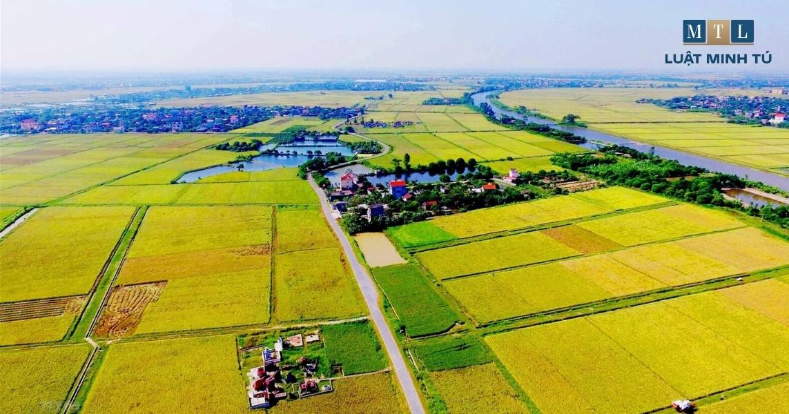 Các hình thức sử dụng đất theo sự phân chia của Nhà nước