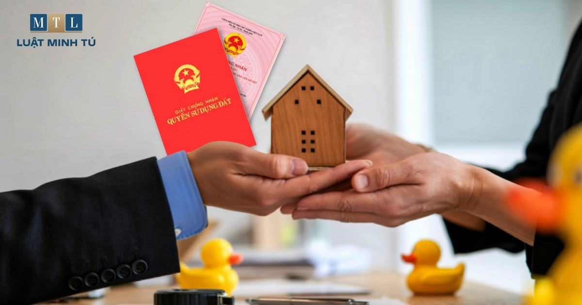 đồng sở hữu quyền sử dụng đất