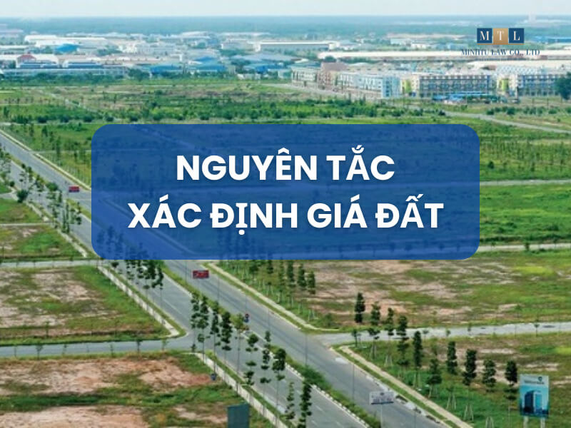 1m2 đất bao nhiêu tiền 2024