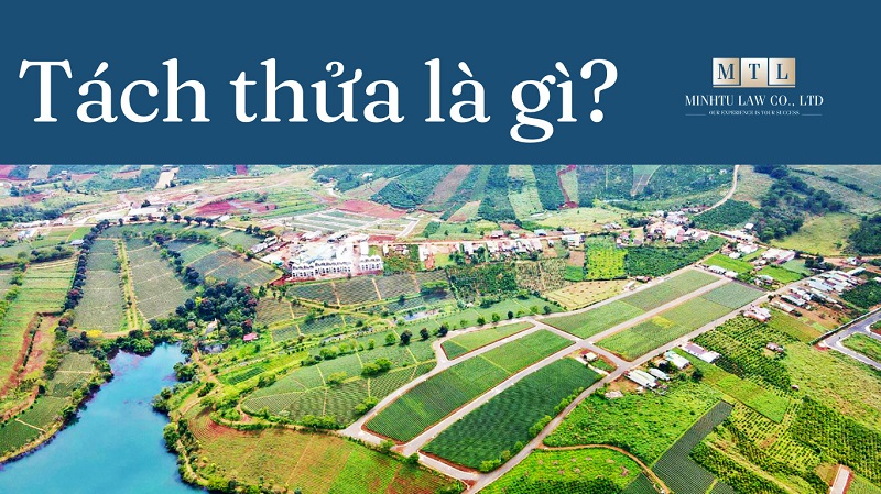 Diện tích tối thiểu tách thửa đất trồng cây lâu năm