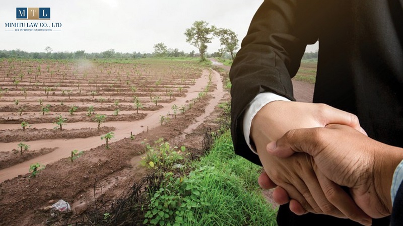 hợp đồng cho thuê đất