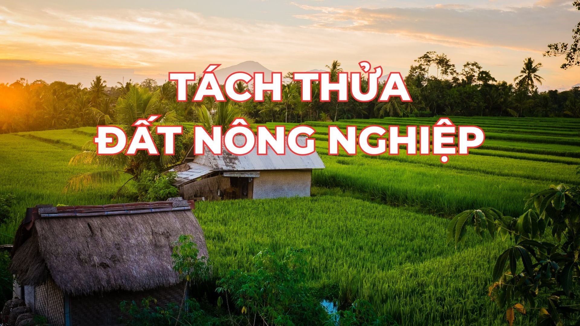 Quy định của Luật Đất đai 2024 về thủ tục tách thửa đất nông nghiệp 