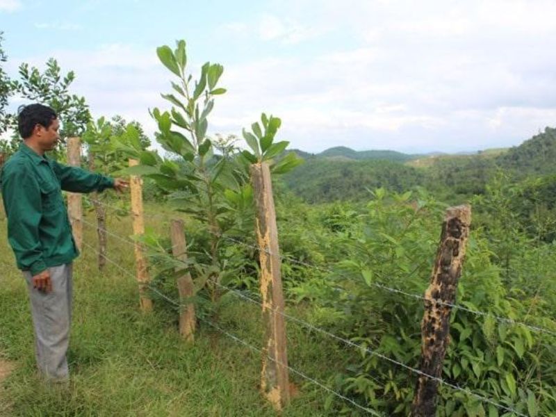 Tìm hiểu về tranh chấp ranh giới đất liền kề và các phương thức giải quyết hiệu quả