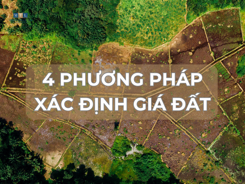 lên thổ cư (đất trồng cây lâu năm bao nhiêu tiền)
