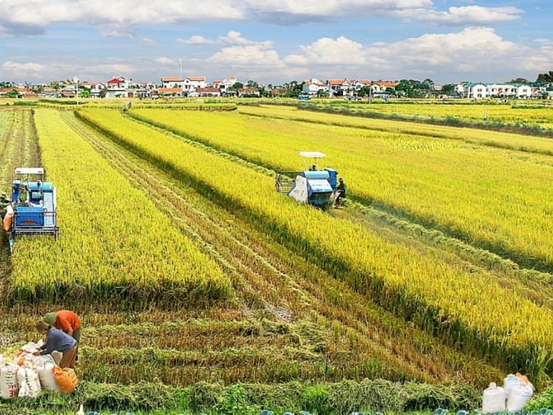 Luật thuế sử dụng đất nông nghiệp còn hiệu lực không
