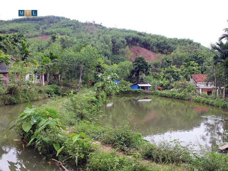 Phí chuyển đổi đất trồng lúa sang đất ở