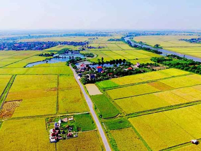 quyen-su-dung-dat-la-gi