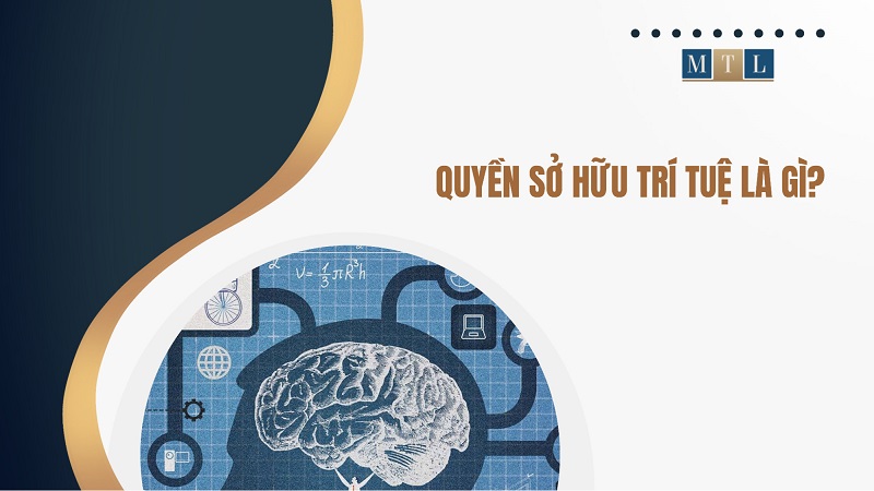 Ví dụ về tranh chấp quyền sở hữu trí tuệ