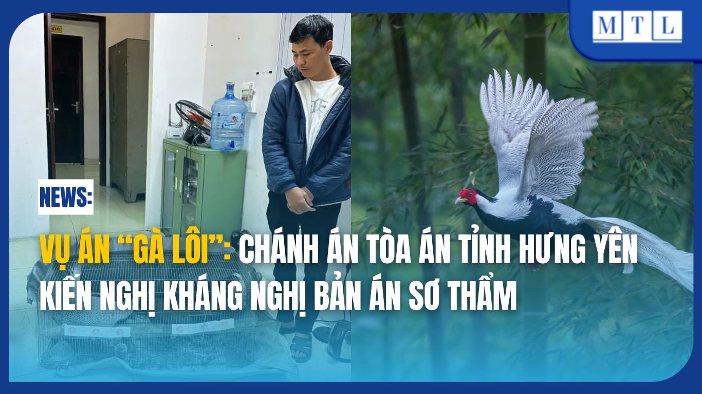 Vụ án “Gà lôi”: Chánh án Tòa án tỉnh Hưng Yên kiến nghị kháng nghị bản án sơ thẩm