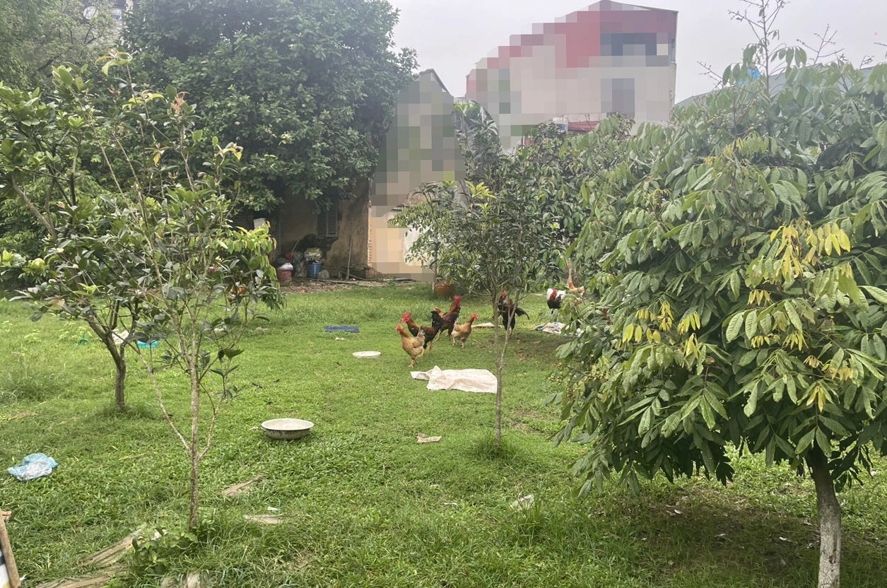 Vụ 11 anh em ruột tranh chấp thừa kế đất: Tòa tuyên bị đơn được quyền sở hữu